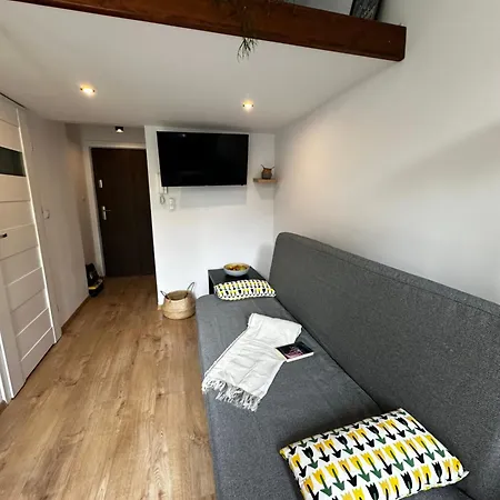 Lägenhet Spokojna Nest Kraków
