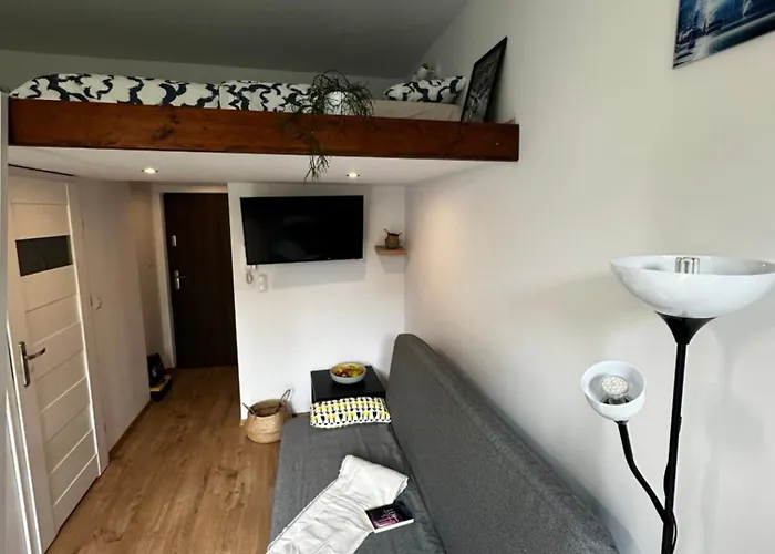 Spokojna Nest 公寓 *