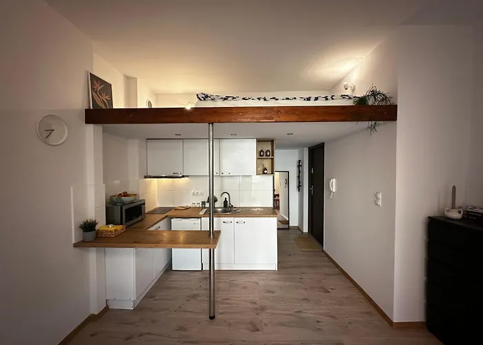 Spokojna Nest 公寓 克拉科夫